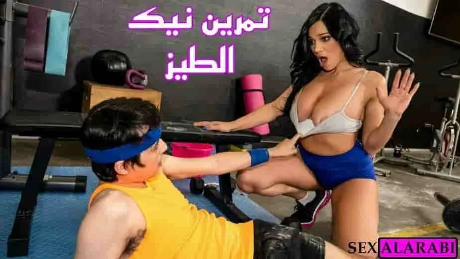 سكس عربي مربربة منقبة